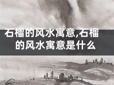 石榴的风水寓意,石榴的风水寓意是什么