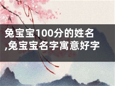 兔宝宝100分的姓名,兔宝宝名字寓意好字