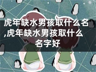 虎年缺水男孩取什么名,虎年缺水男孩取什么名字好