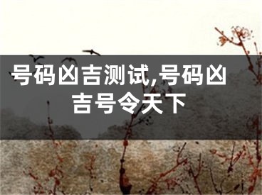 号码凶吉测试,号码凶吉号令天下
