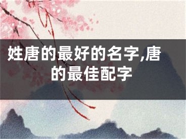 姓唐的最好的名字,唐的最佳配字