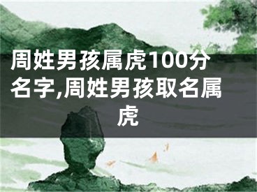 周姓男孩属虎100分名字,周姓男孩取名属虎
