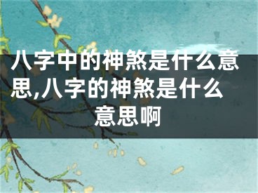 八字中的神煞是什么意思,八字的神煞是什么意思啊