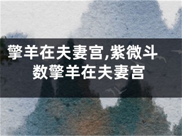 擎羊在夫妻宫,紫微斗数擎羊在夫妻宫