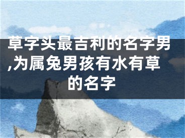 草字头最吉利的名字男,为属兔男孩有水有草的名字