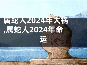 属蛇人2024年大祸,属蛇人2024年命运