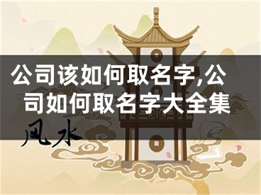 公司该如何取名字,公司如何取名字大全集