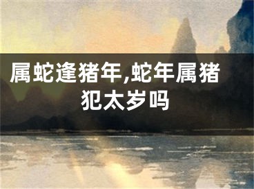 属蛇逢猪年,蛇年属猪犯太岁吗