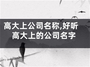 高大上公司名称,好听高大上的公司名字