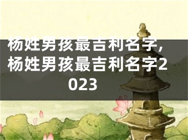 杨姓男孩最吉利名字,杨姓男孩最吉利名字2023