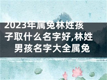 2023年属兔林姓孩子取什么名字好,林姓男孩名字大全属兔