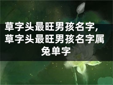 草字头最旺男孩名字,草字头最旺男孩名字属兔单字