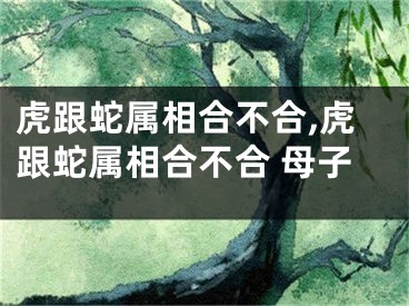 虎跟蛇属相合不合,虎跟蛇属相合不合 母子