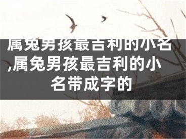 属兔男孩最吉利的小名,属兔男孩最吉利的小名带成字的