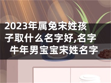 2023年属兔宋姓孩子取什么名字好,名字牛年男宝宝宋姓名字