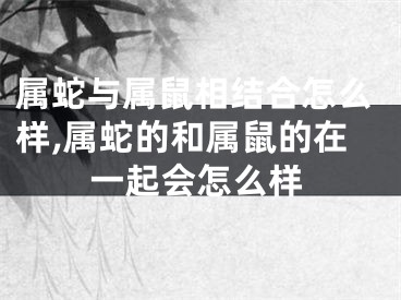 属蛇与属鼠相结合怎么样,属蛇的和属鼠的在一起会怎么样