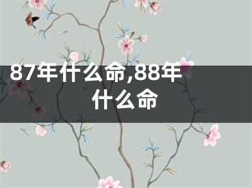 87年什么命,88年什么命