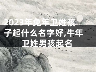 2023年兔年卫姓孩子起什么名字好,牛年卫姓男孩起名