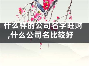 什么样的公司名字旺财,什么公司名比较好
