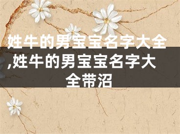 姓牛的男宝宝名字大全,姓牛的男宝宝名字大全带沼