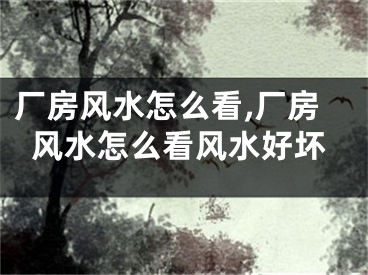 厂房风水怎么看,厂房风水怎么看风水好坏