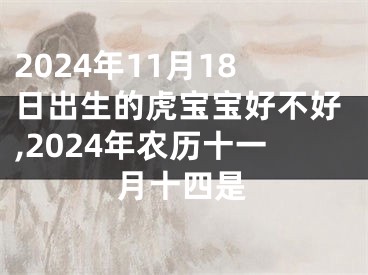 2024年11月18日出生的虎宝宝好不好,2024年农历十一月十四是