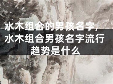 水木组合的男孩名字,水木组合男孩名字流行趋势是什么