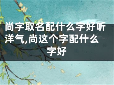 尚字取名配什么字好听洋气,尚这个字配什么字好