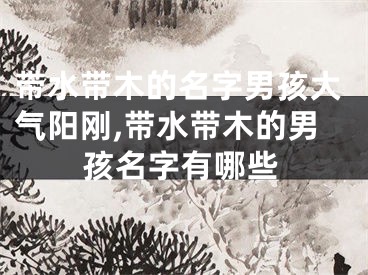 带水带木的名字男孩大气阳刚,带水带木的男孩名字有哪些