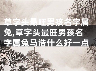 草字头最旺男孩名字属兔,草字头最旺男孩名字属兔马浩什么好一点