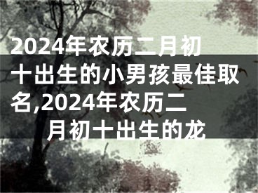 2024年农历二月初十出生的小男孩最佳取名,2024年农历二月初十出生的龙
