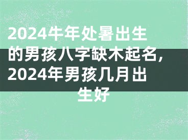 2024牛年处暑出生的男孩八字缺木起名,2024年男孩几月出生好