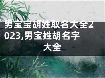 男宝宝胡姓取名大全2023,男宝姓胡名字大全