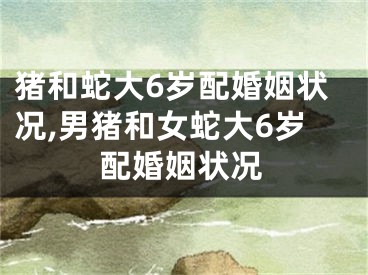 猪和蛇大6岁配婚姻状况,男猪和女蛇大6岁配婚姻状况