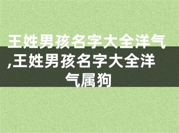 王姓男孩名字大全洋气,王姓男孩名字大全洋气属狗
