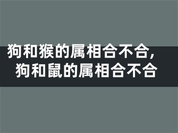 狗和猴的属相合不合,狗和鼠的属相合不合