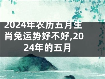 2024年农历五月生肖兔运势好不好,2024年的五月