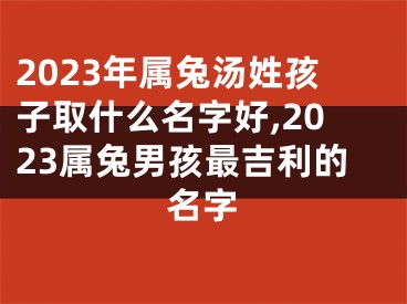 2023年属兔汤姓孩子取什么名字好,2023属兔男孩最吉利的名字