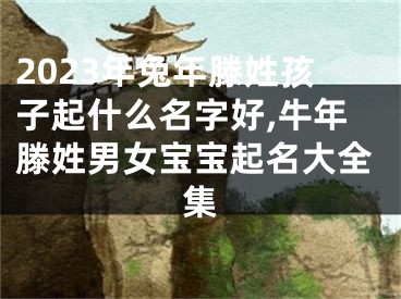 2023年兔年滕姓孩子起什么名字好,牛年滕姓男女宝宝起名大全集