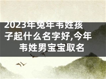 2023年兔年韦姓孩子起什么名字好,今年韦姓男宝宝取名