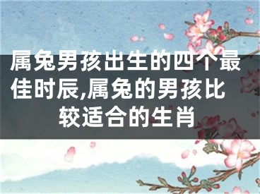 属兔男孩出生的四个最佳时辰,属兔的男孩比较适合的生肖