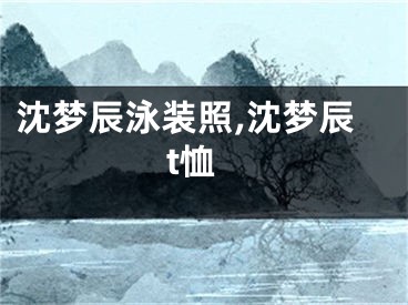 沈梦辰泳装照,沈梦辰t恤