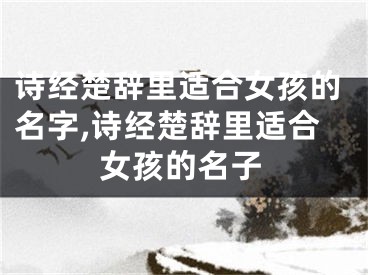 诗经楚辞里适合女孩的名字,诗经楚辞里适合女孩的名子