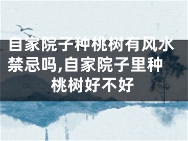 自家院子种桃树有风水禁忌吗,自家院子里种桃树好不好