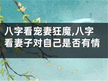八字看宠妻狂魔,八字看妻子对自己是否有情