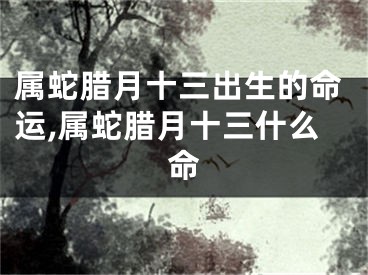属蛇腊月十三出生的命运,属蛇腊月十三什么命