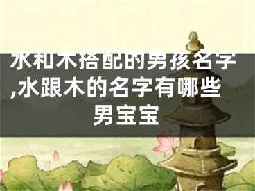 水和木搭配的男孩名字,水跟木的名字有哪些男宝宝
