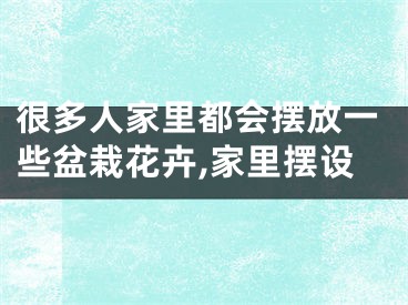 很多人家里都会摆放一些盆栽花卉,家里摆设
