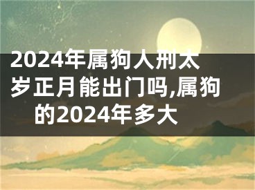 2024年属狗人刑太岁正月能出门吗,属狗的2024年多大