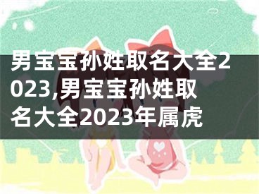 男宝宝孙姓取名大全2023,男宝宝孙姓取名大全2023年属虎